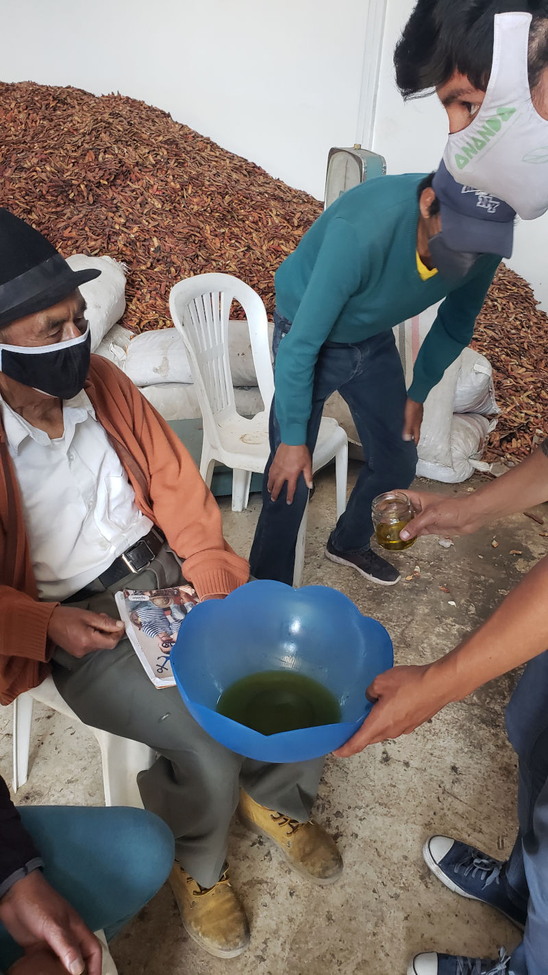 @CooproAnanda Cannabis